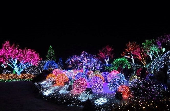 수목원오색정원 사진