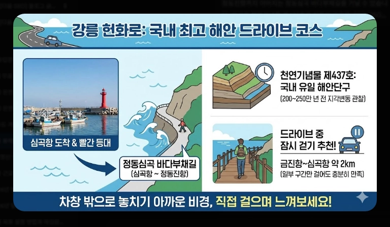 겨울 동해안 드라이브 코스 완벽 가이드