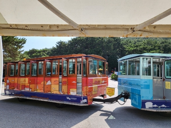 태종대 다누비열차 운행 시간