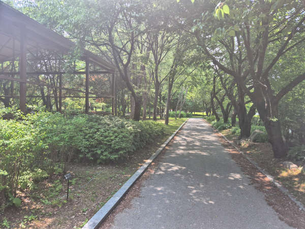 나뭇잎 사이로 햇살이 비치는 평화로운 화목원 산책로