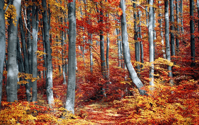 9월 인사말 모음집