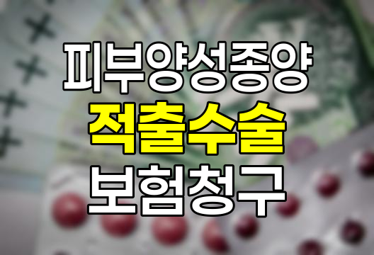 피부 양성종양적출수술 보험청구 완벽 가이드