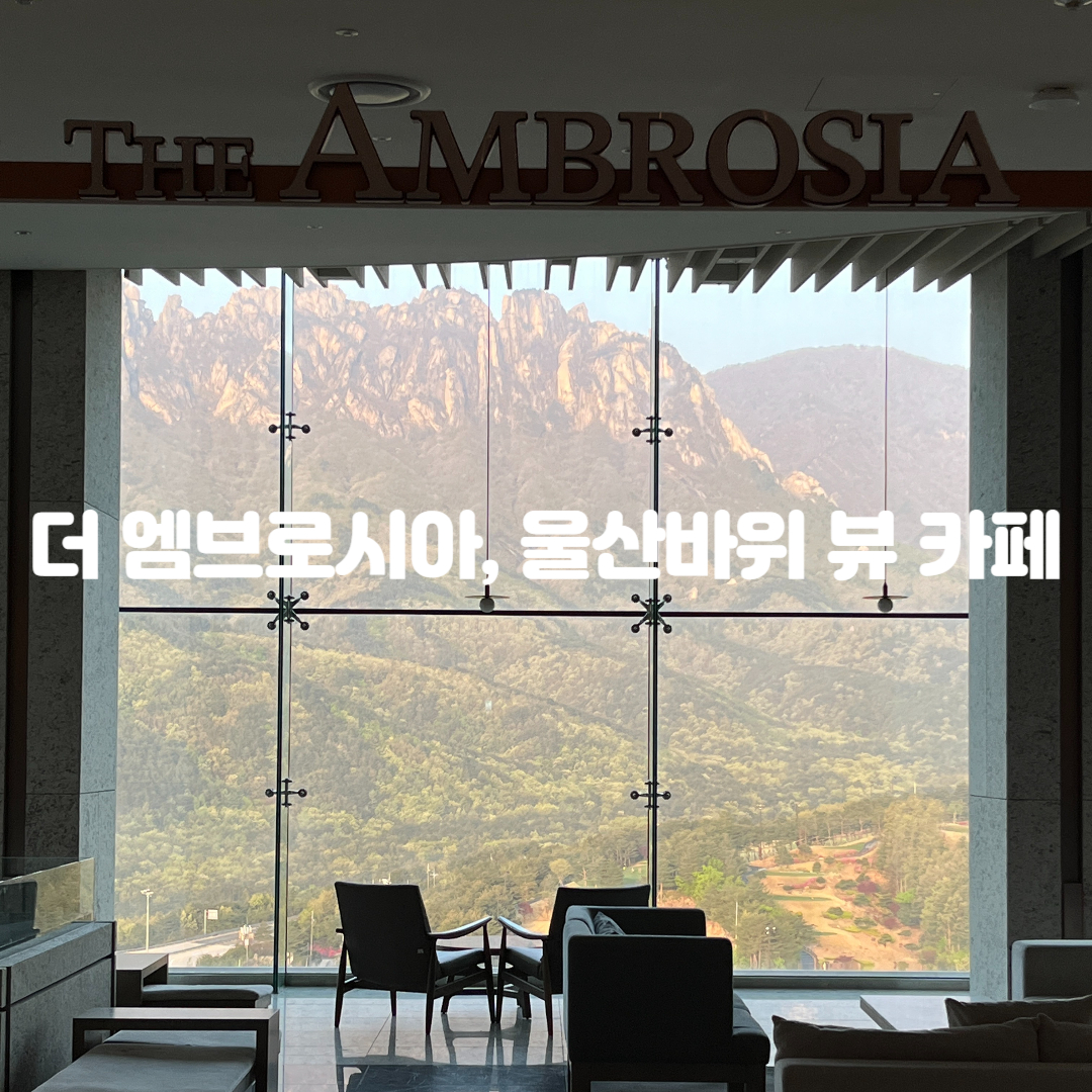 더-엠브로시아-울산바위-카페