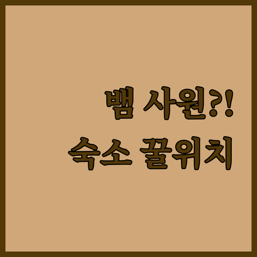 이색적인 페낭 스네이크 사원 여행 코..