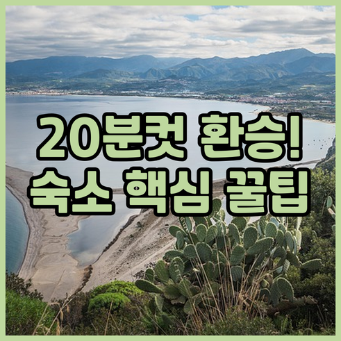 가오슝 첩운 치진 선착장 20분컷 환..