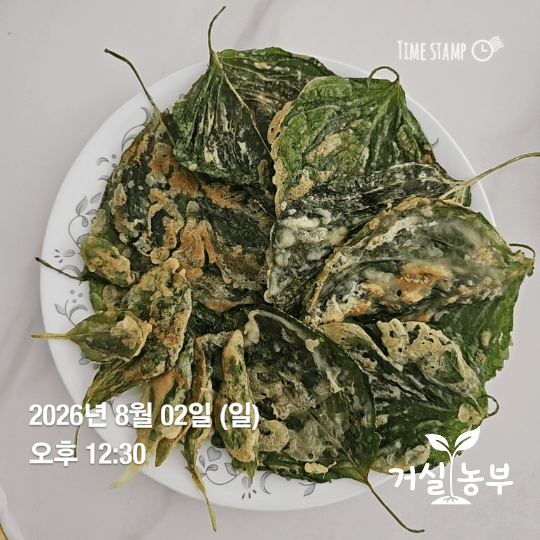 크기가 다른 깻잎으로 부친 깻잎전