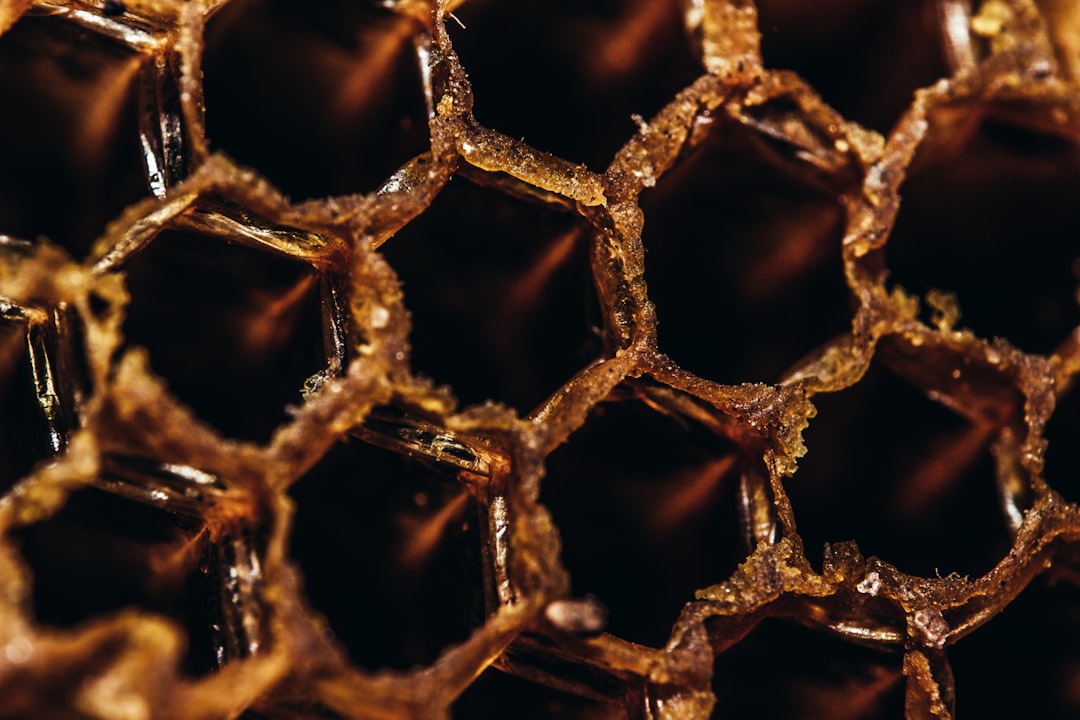 Honey