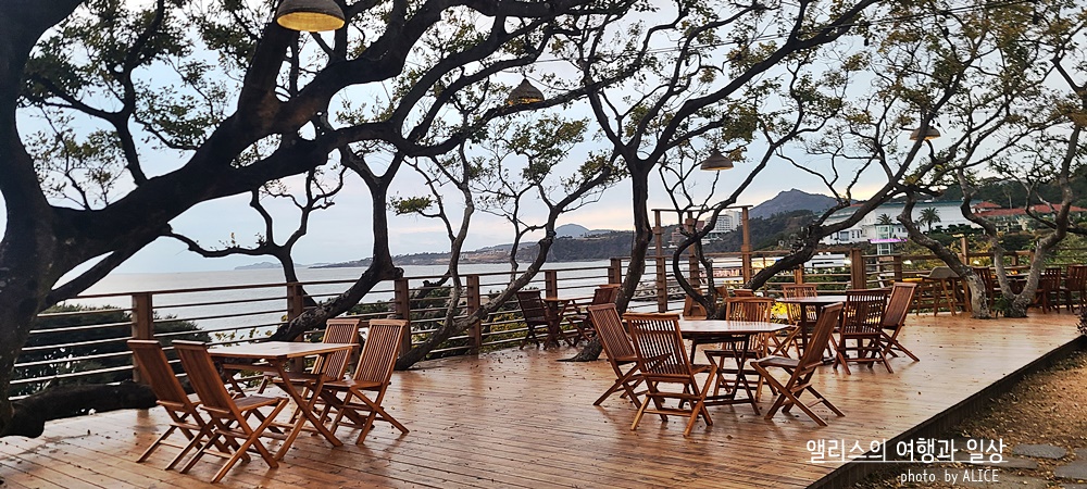 씨에스호텔 제주 전통 5성급 호텔