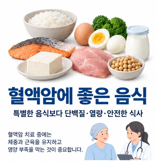 혈액암에 좋은 음식과 생선 달걀 두부 콩 살코기 유제품을 균형 있게 보여주는 교육용 이미지