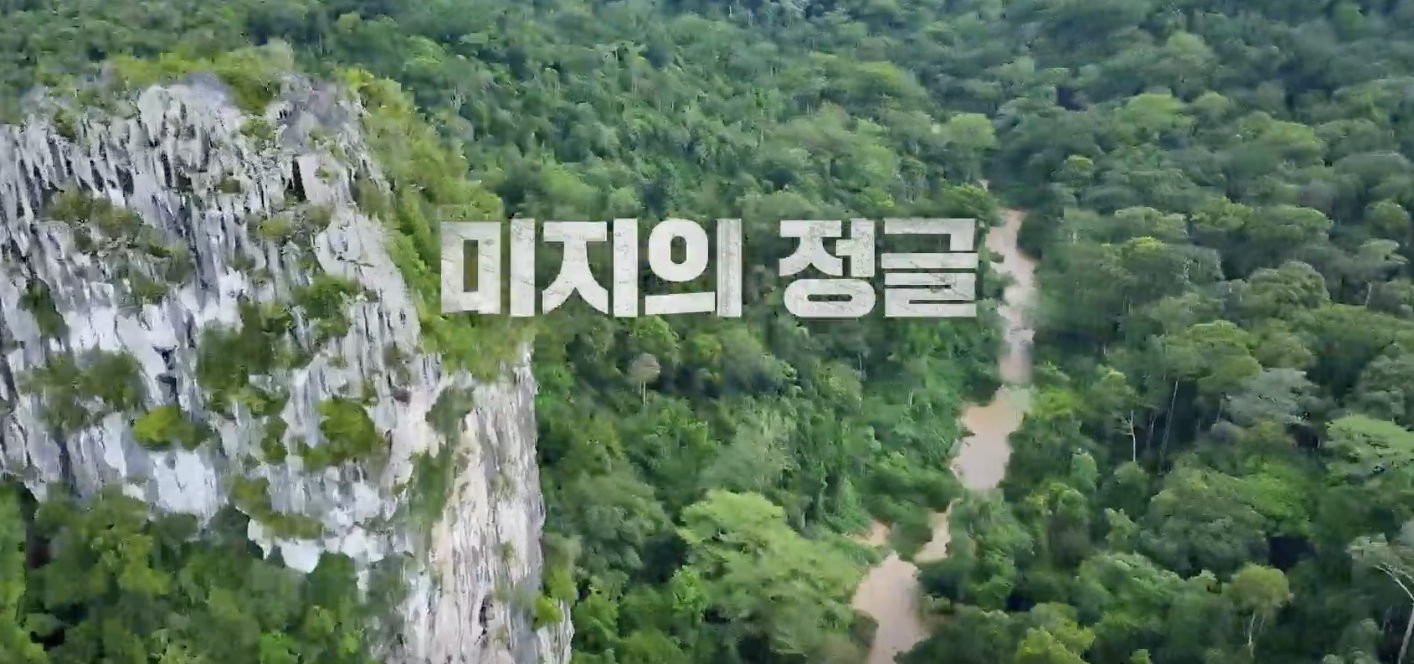 숲이 우거진 초록의 정글 사진이 있고, 가운데 미지의 정글이라는 글씨가 쓰여져 있다.