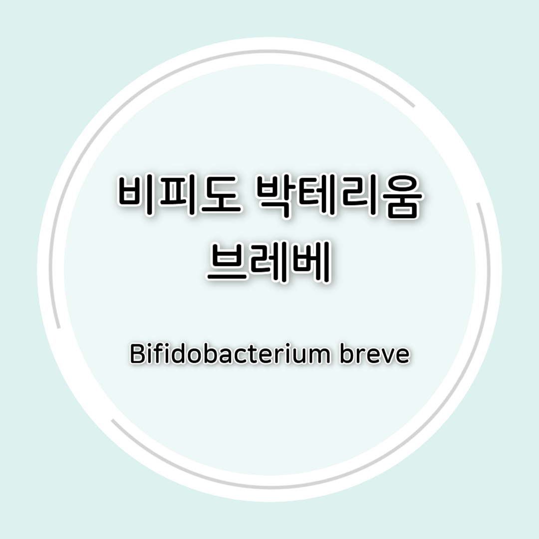 비피도박테리움 브레베(Bifidobacterium breve)효능 총정리