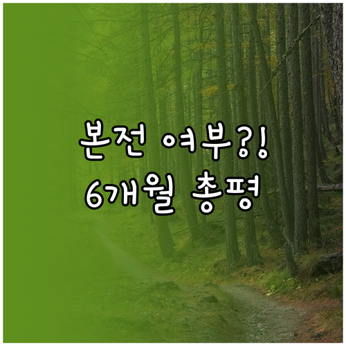 기후동행카드 6개월 총평 본전 뽑는 ..