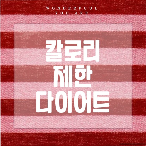 칼로리 제한 다이어트 핵심과 실천법 정리