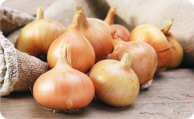 양파즙-효능