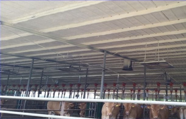 농업시설 축사 우레탄폼 적용