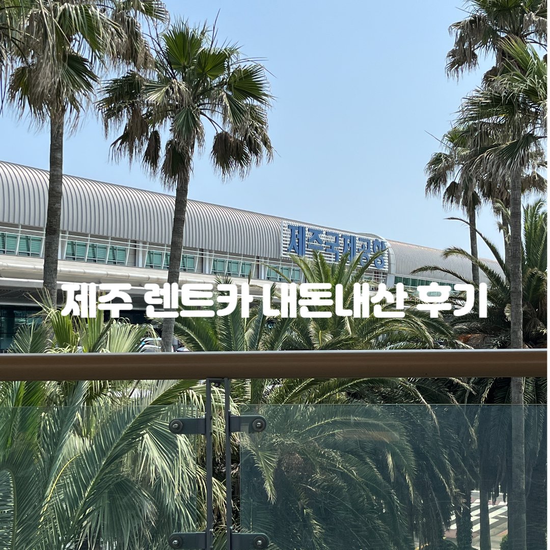 제주-무지개렌트카-렌트카-렌터카