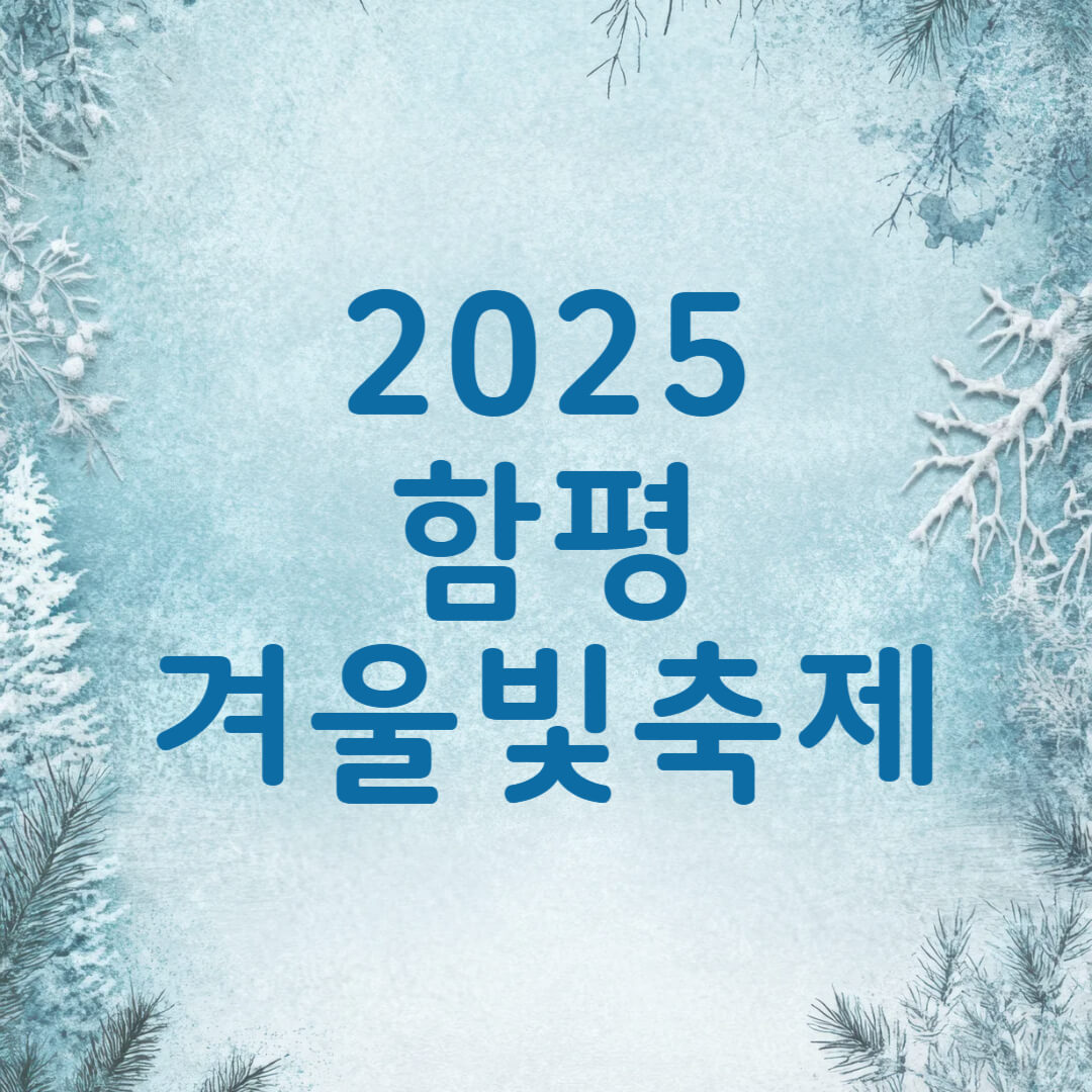 2025 함평 겨울빛축제