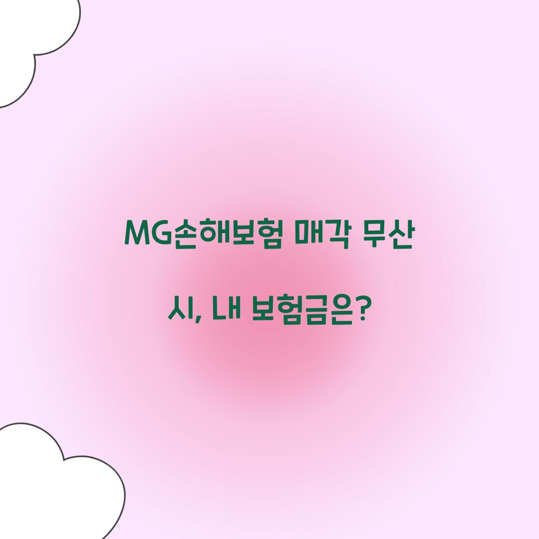 MG손해보험 매각