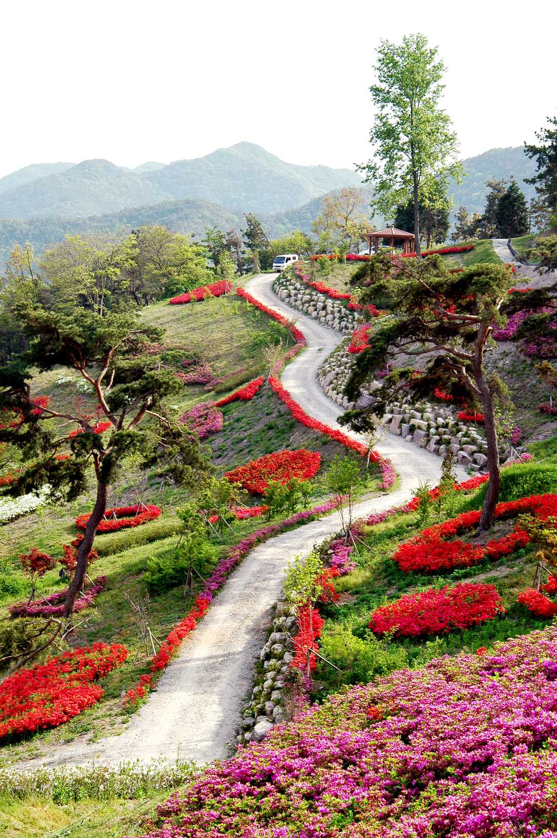 영광-숲쟁이-꽃동산