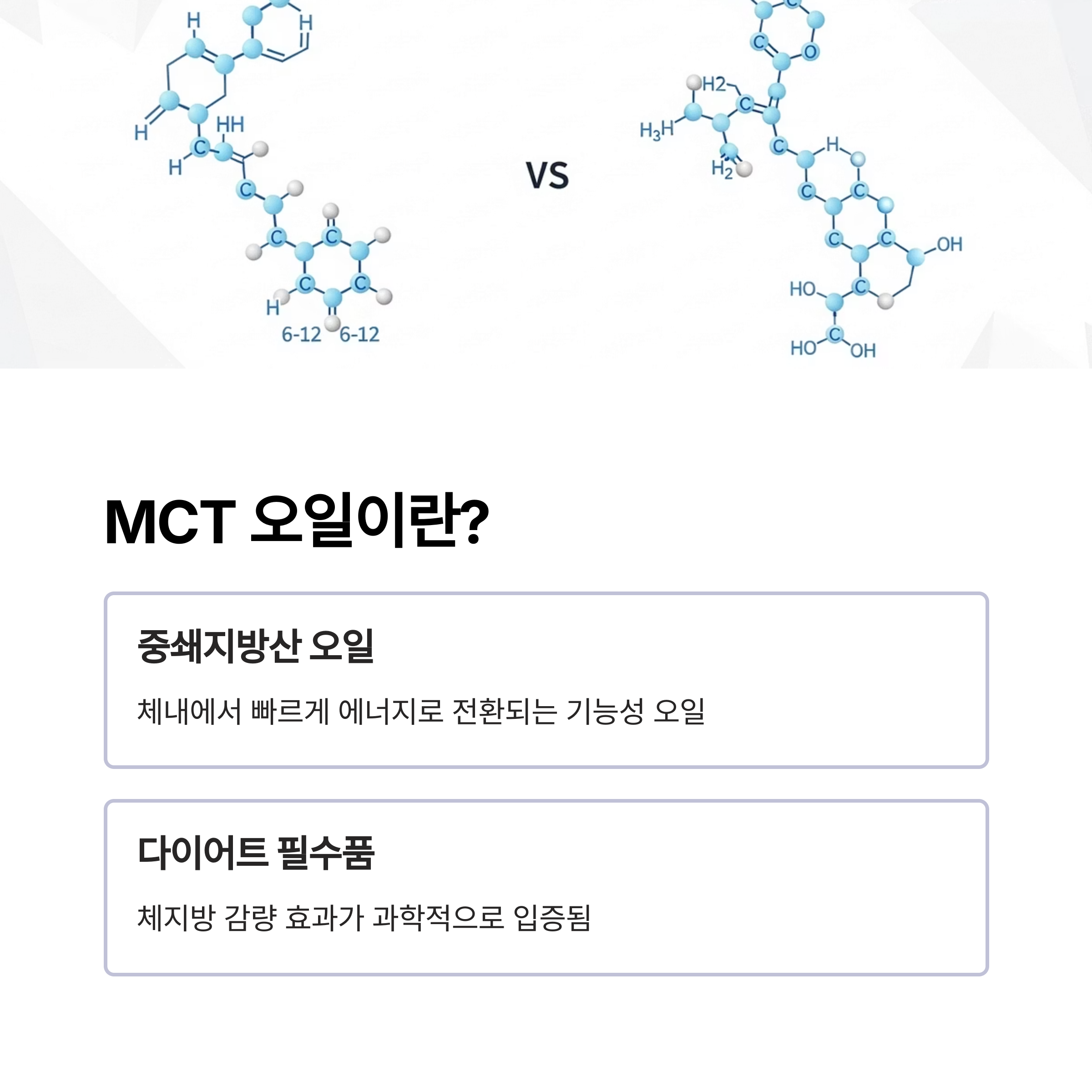 MCT 오일이란?
