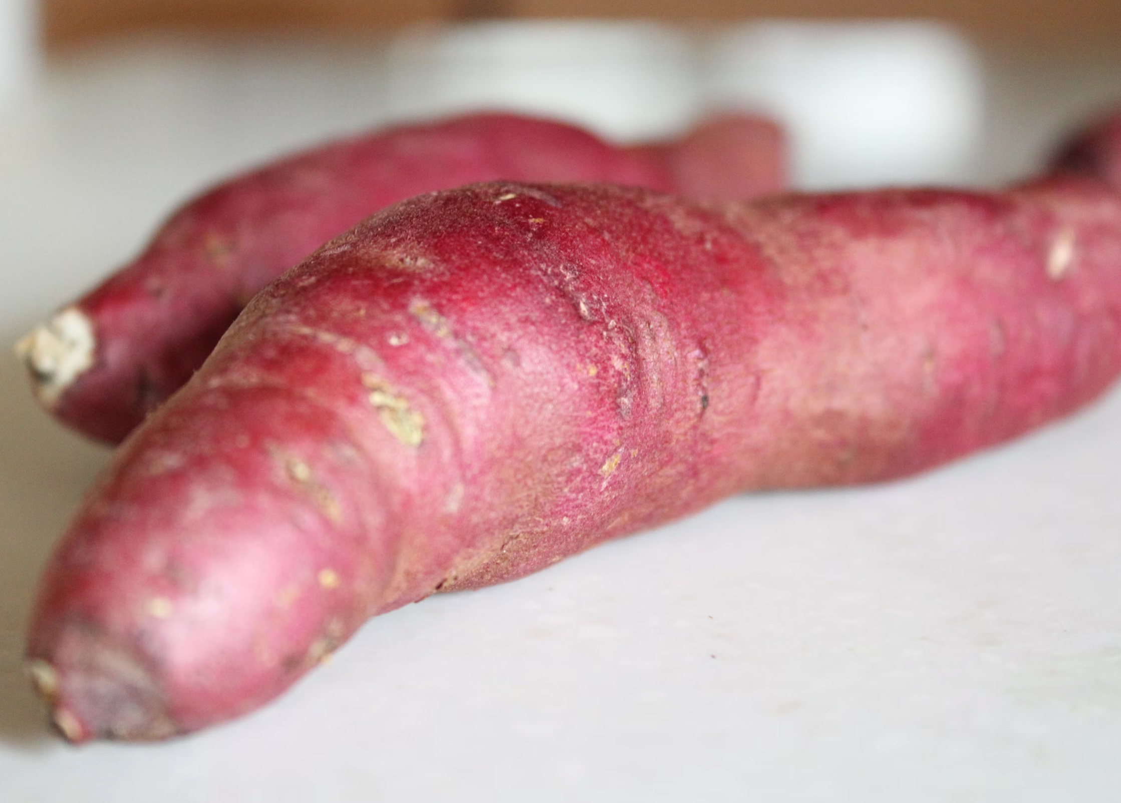 생고구마 보관법