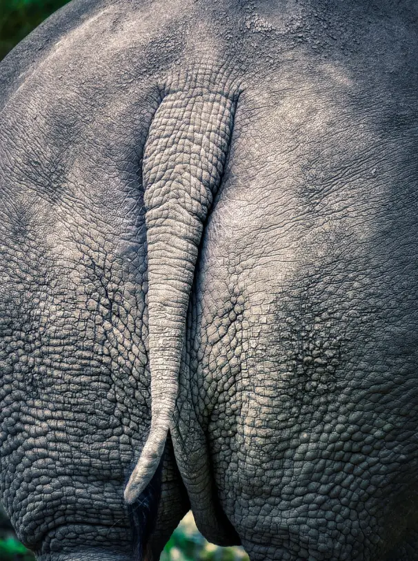 방귀 냄새 지독