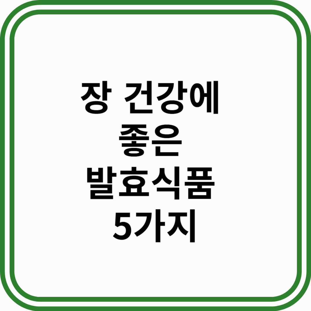장 건강에 좋은 발효식품 5가지 : 장내 미생물 균형을 위한 최고의 선택