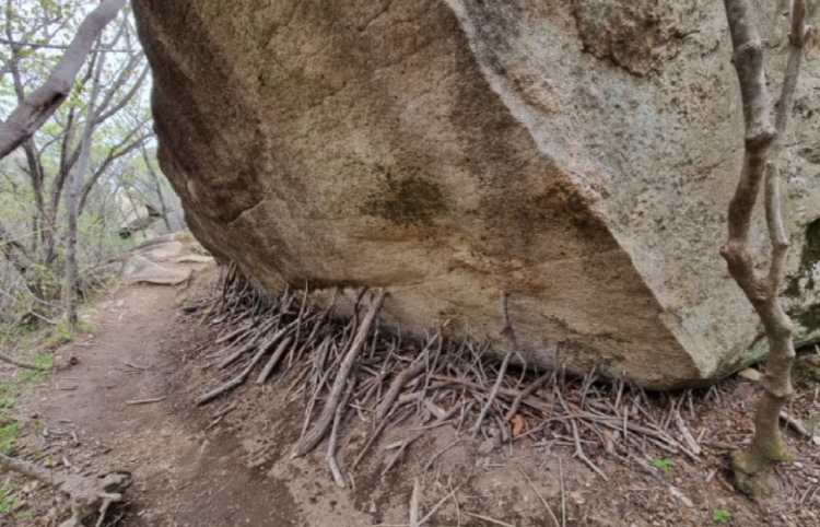 금정산 등산코스