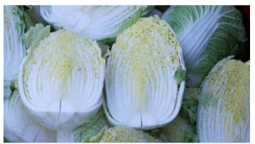 절임배추 만드는법 영양 보관방법 구매팁