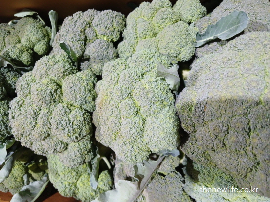 식후 혈당 관리에 좋은 저당지수 채소