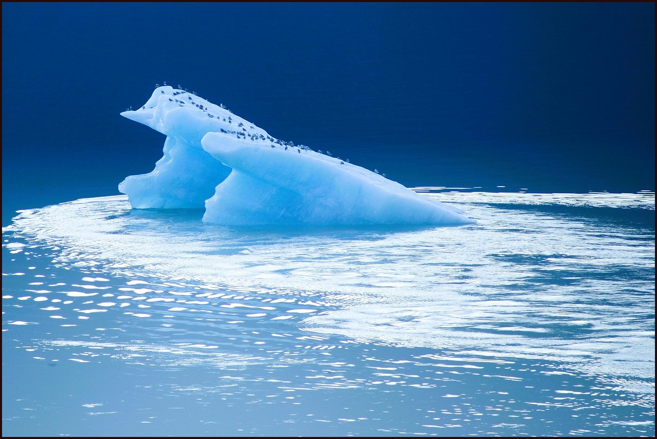 그랑 콜레오스 가격