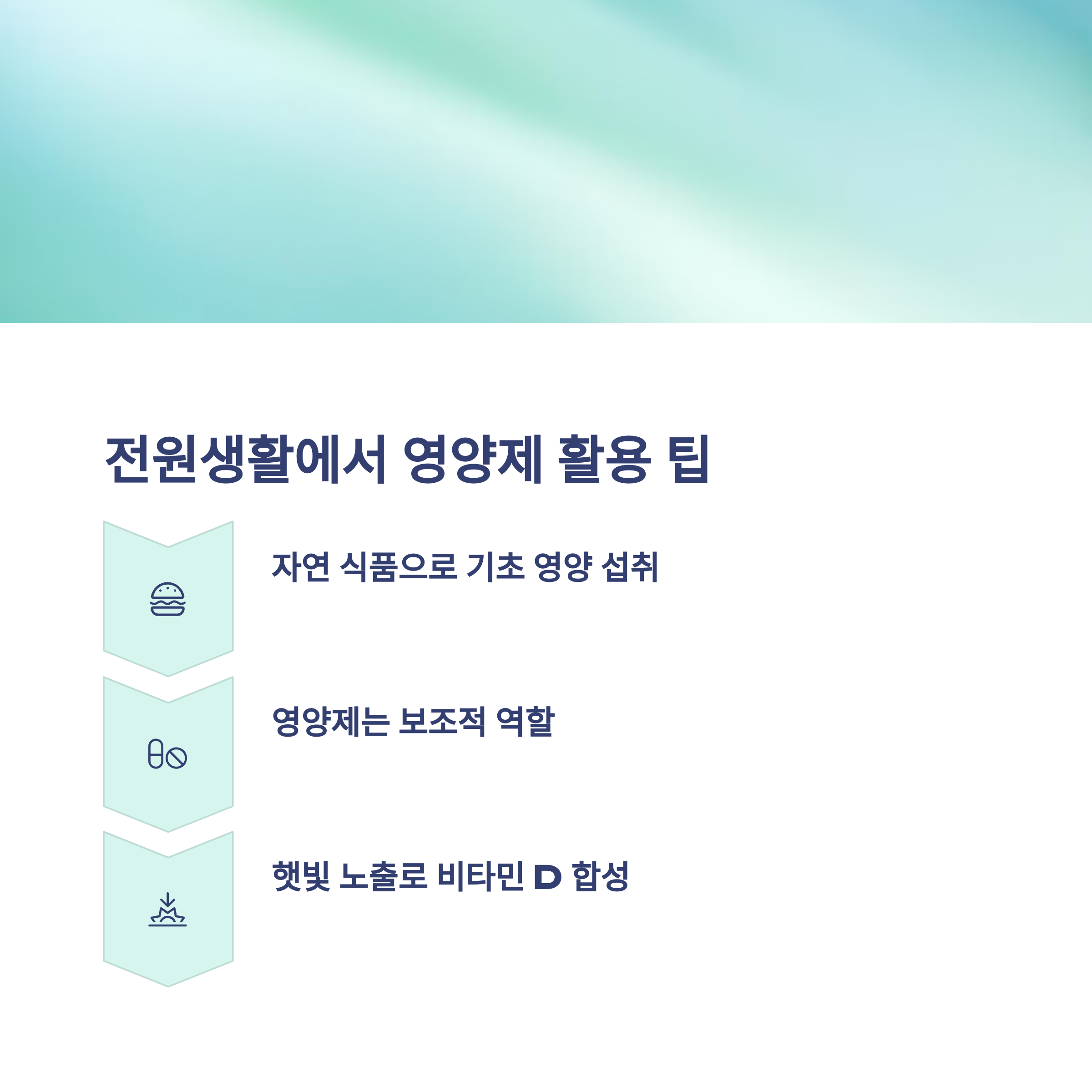 도시 은퇴자가 알려주는 실버 세대 맞춤 영양제 완벽 가이드