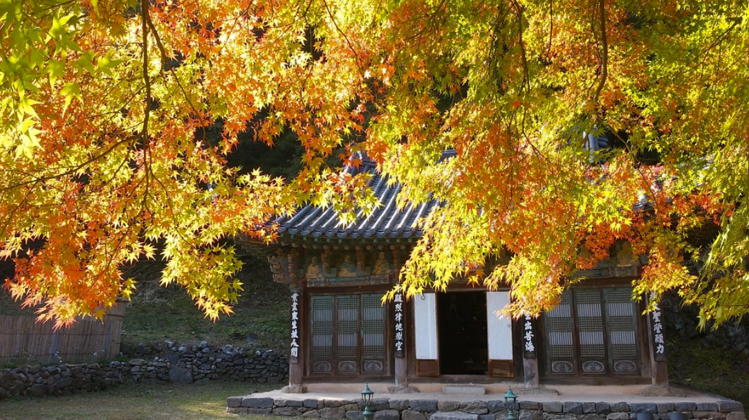 아이와 공주여행 - 공주 마곡사