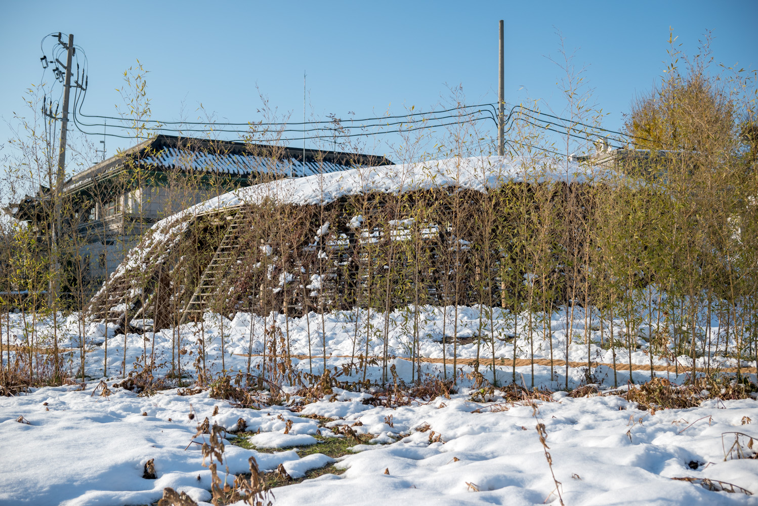 종로의 설경 송현공원