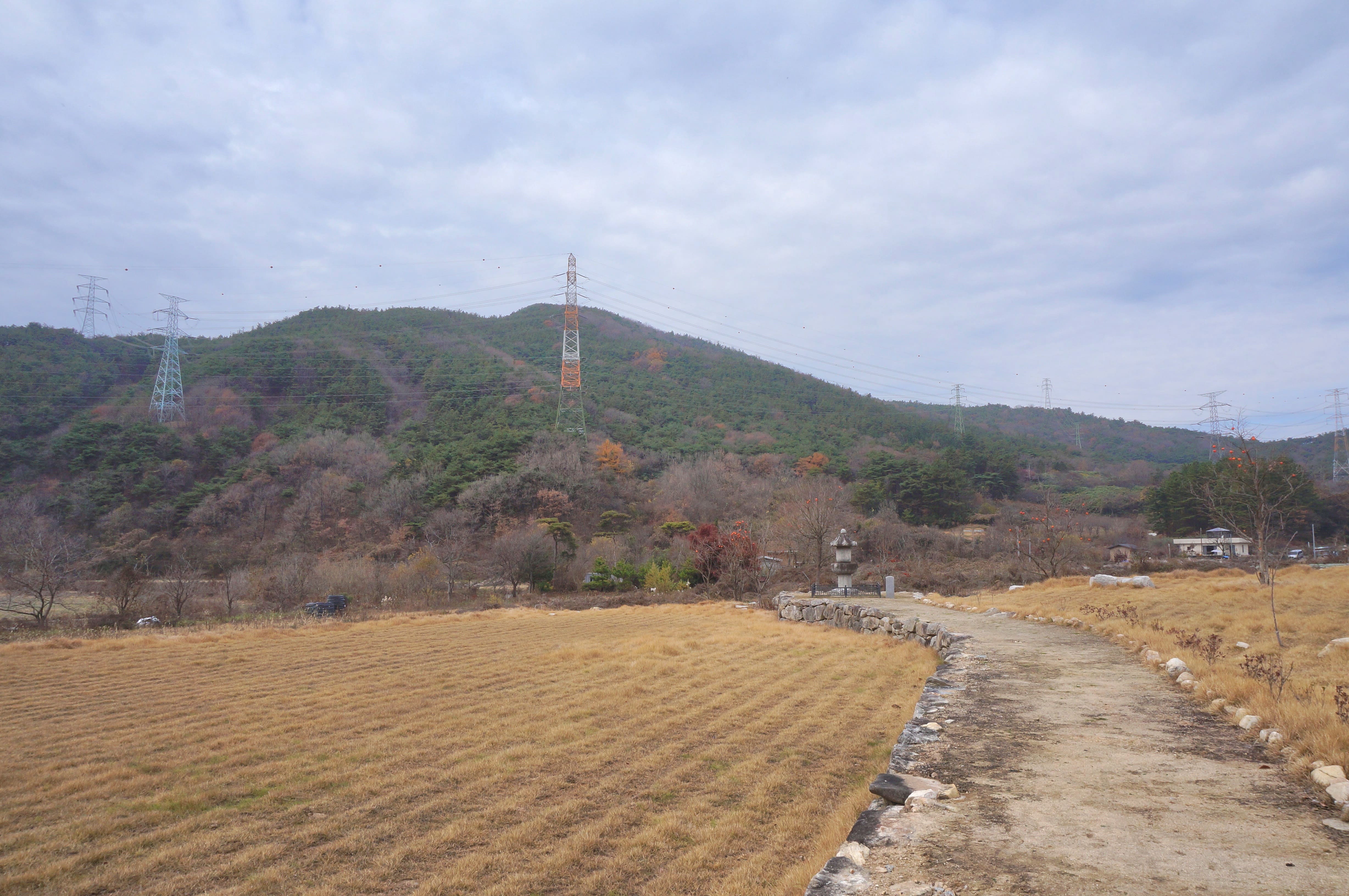 논 가운데 있는 귀신사 부도(歸信寺 浮屠)