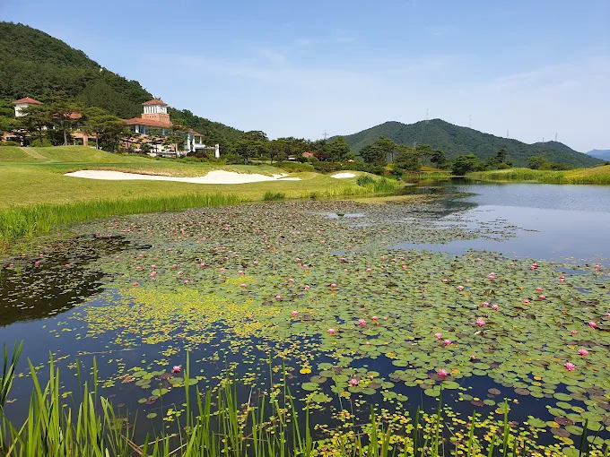 순천 파인힐스CC 소개 및 이용방법
