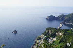 울릉도 관광안내 8