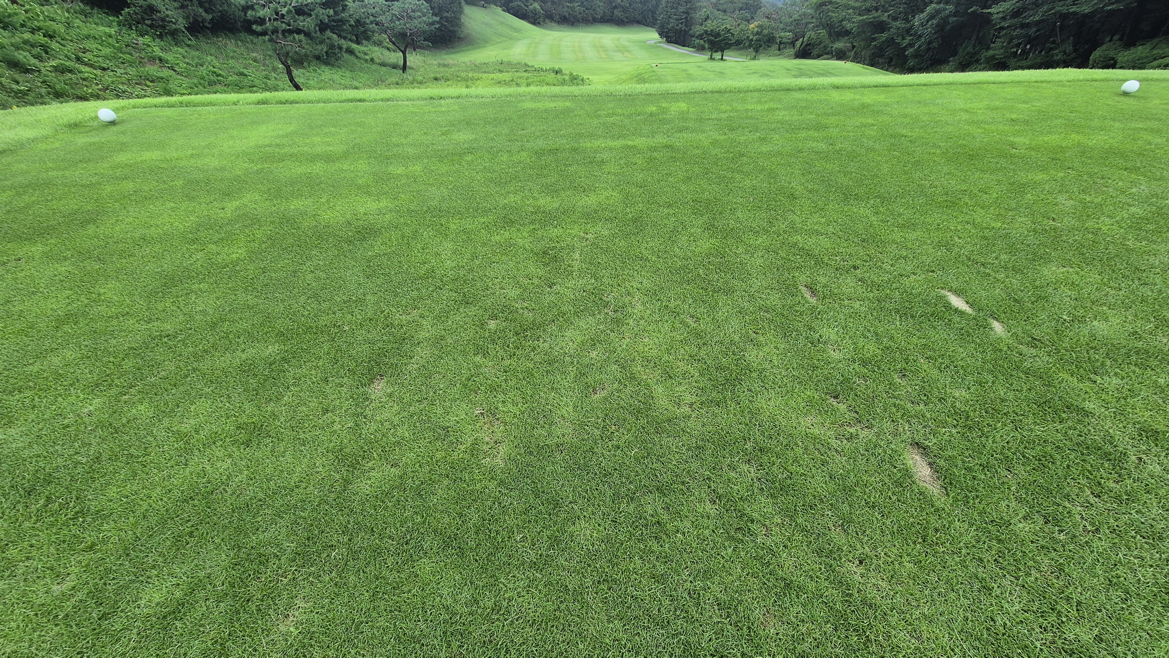 뉴서울cc 예술in-문화in 코스 라운드 후기