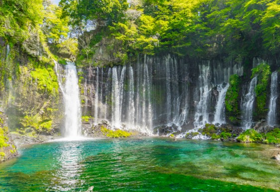 [일본 여행지 추천] 시즈오카 날씨, 위치, 맛집, 쇼핑, 가볼만한곳(후지산, 온천), 료칸