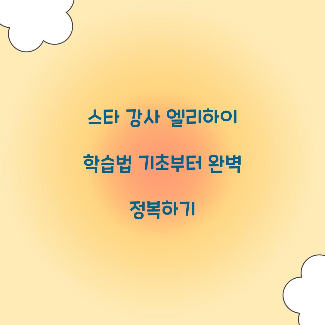 스타 강사 엘리하이 학습법