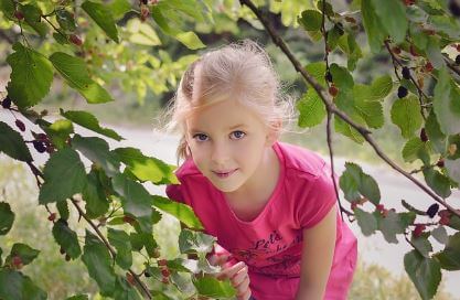 오디의-다양한-섭취-방법3