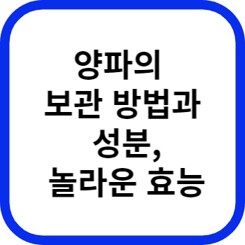 양파의 보관 방법과 성분, 놀라운 효능