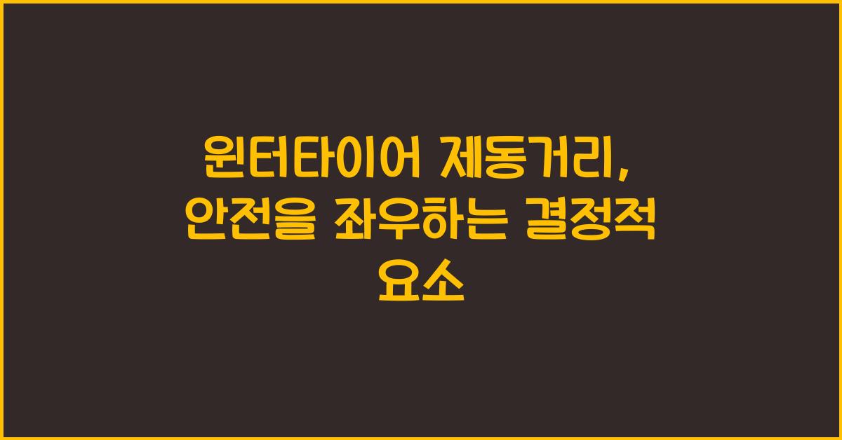 윈터타이어 제동거리