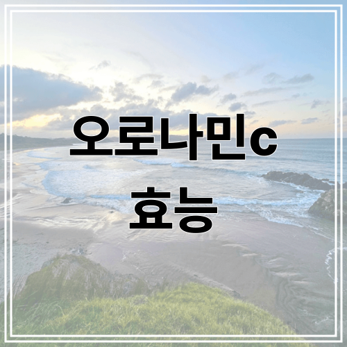 오로나민c 효능