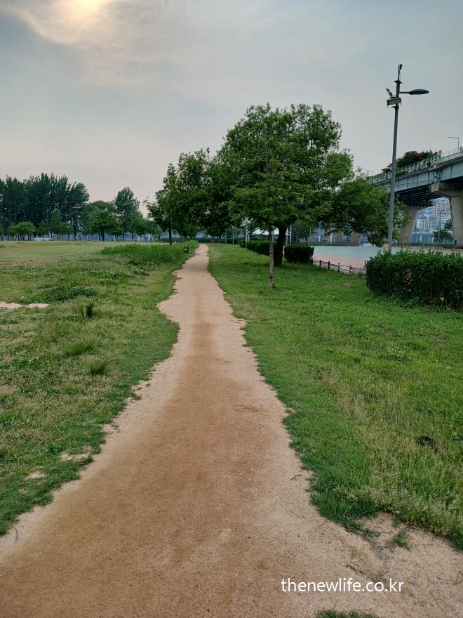 Barefoot walking path at Gwangnaru Park under soft sunset light-석양빛이 드리운 광나루 공원의 맨발 걷기 흙길