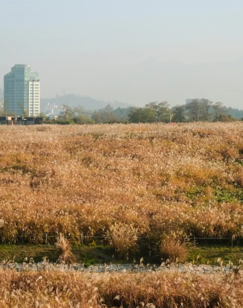 서울 하늘 공원