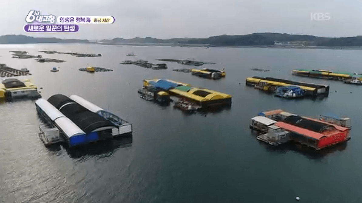 [6시내고향]충남 서산 해상 좌대낚시 고려호 창리해상펜션 바지락 해뜨는천수만 예약 연락처 위치 정보를 자세히 알려주는 이미지입니다.