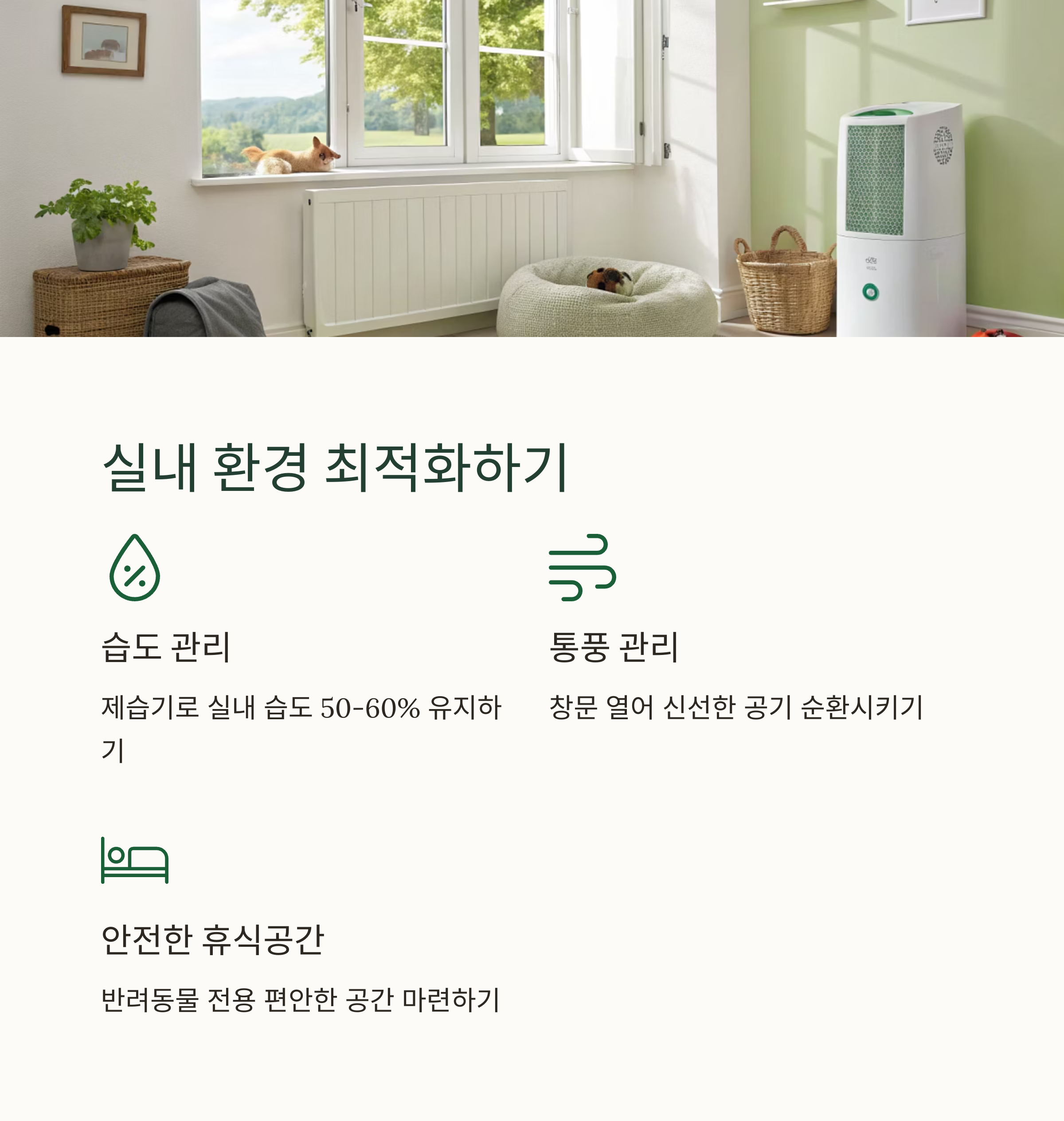 장마철 반려동물 실내 안전관리 가이드