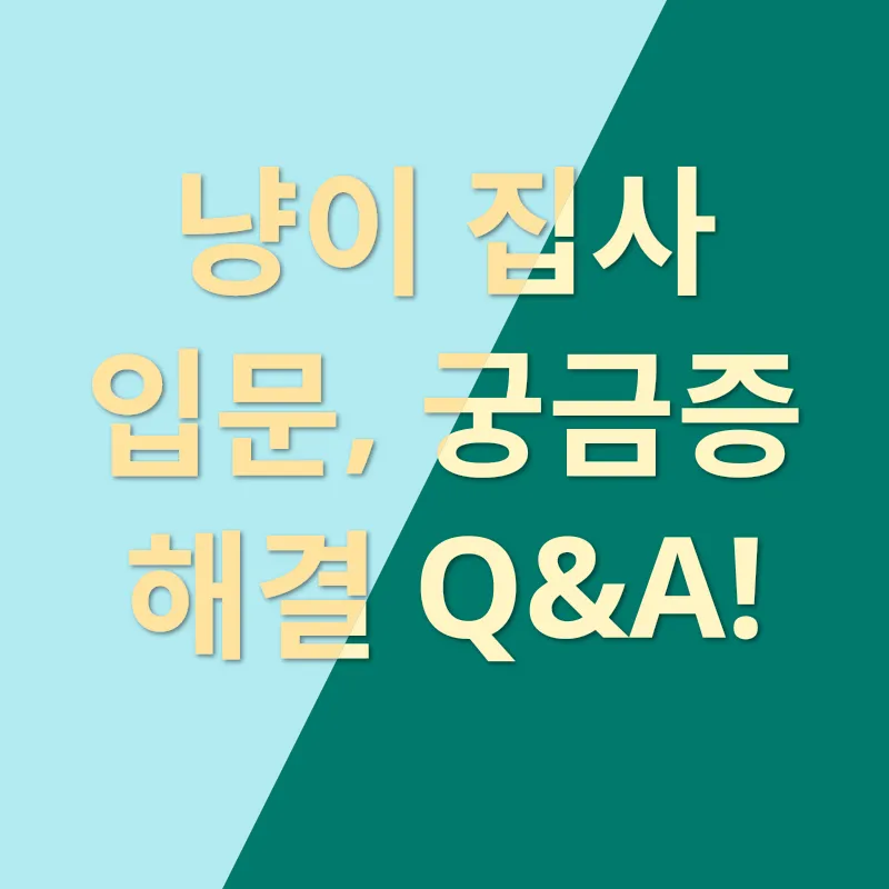 냥이 집사 로망 실현_4