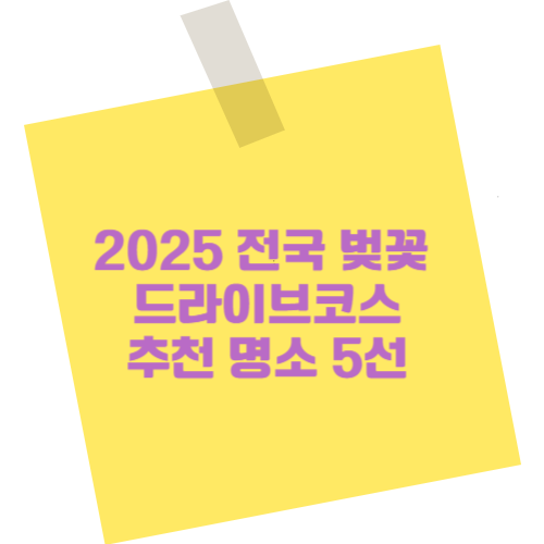 2025 전국 벚꽃 드라이브 코스 추천 명소 5선